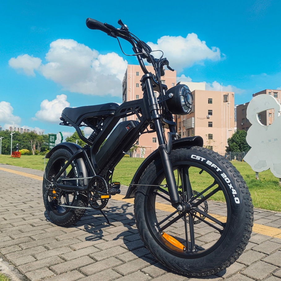 YTYIN 2024 Made In China Facto - Electric Scooter Adults review and price