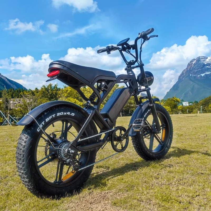 YTYIN 2024 Made In China Facto - Electric Scooter Adults review and price