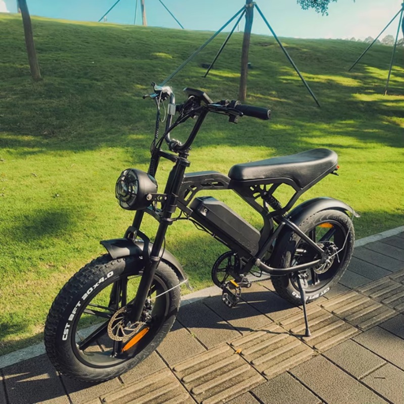 YTYIN 2024 Made In China Facto - Electric Scooter Adults review and price