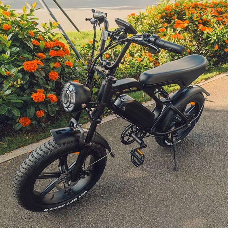 YTYIN 2024 Made In China Facto - Electric Scooter Adults review and price